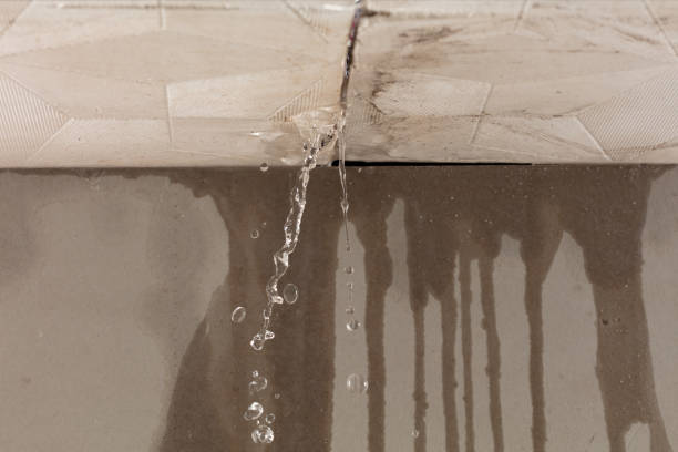 Professional Commercial Water Damage Restoration technician working in Hollins, VA